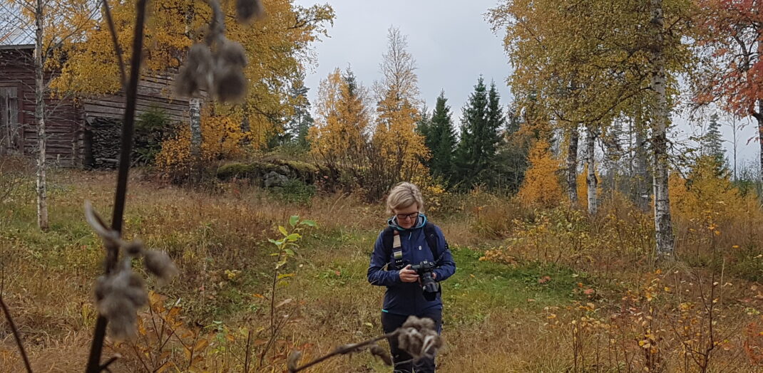 Kvinna med kamera vandrar i björk skog på hösten.