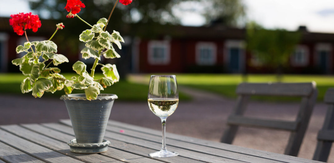 Blomkruka med pelargon och ett vinglas i trädgården