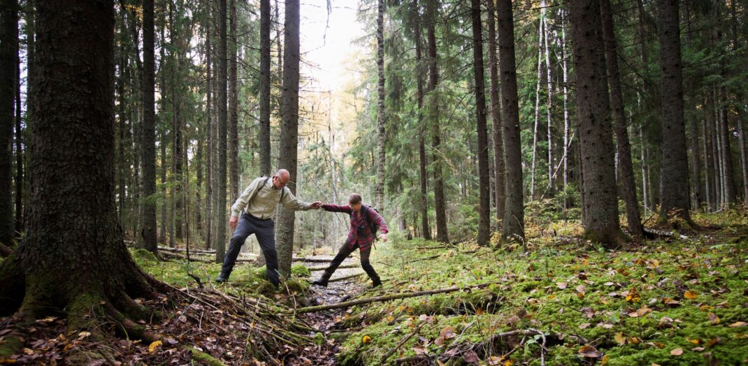 Två personer vandrar i skog på vandringsled i Gräsmark