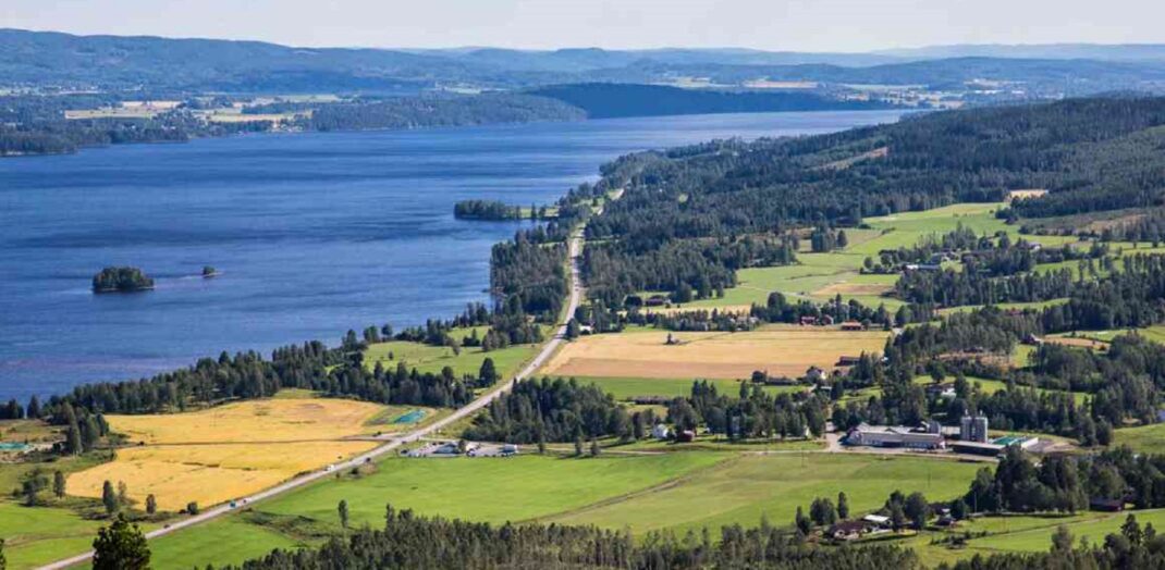 Skogslandskap med sjö. Sjön Fryken i Fryksdalen Sunne Värmland