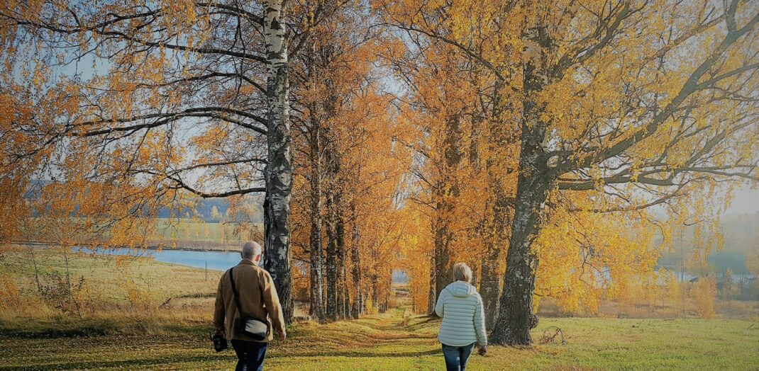 Två personer promenerar i höstens alla färger.